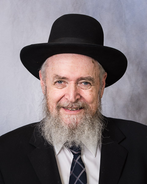 BDE: Harav Sheftel Neuberger zt"l