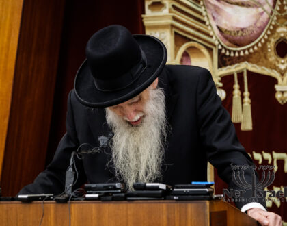 Hespaidim for Harav Chaim Kanievsky ztvk"l